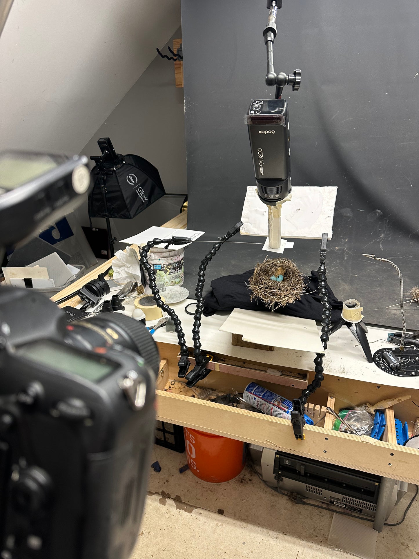 Spotlight on Life (Black Background)