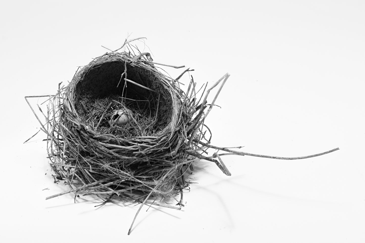 Studio Neighbor Black and White