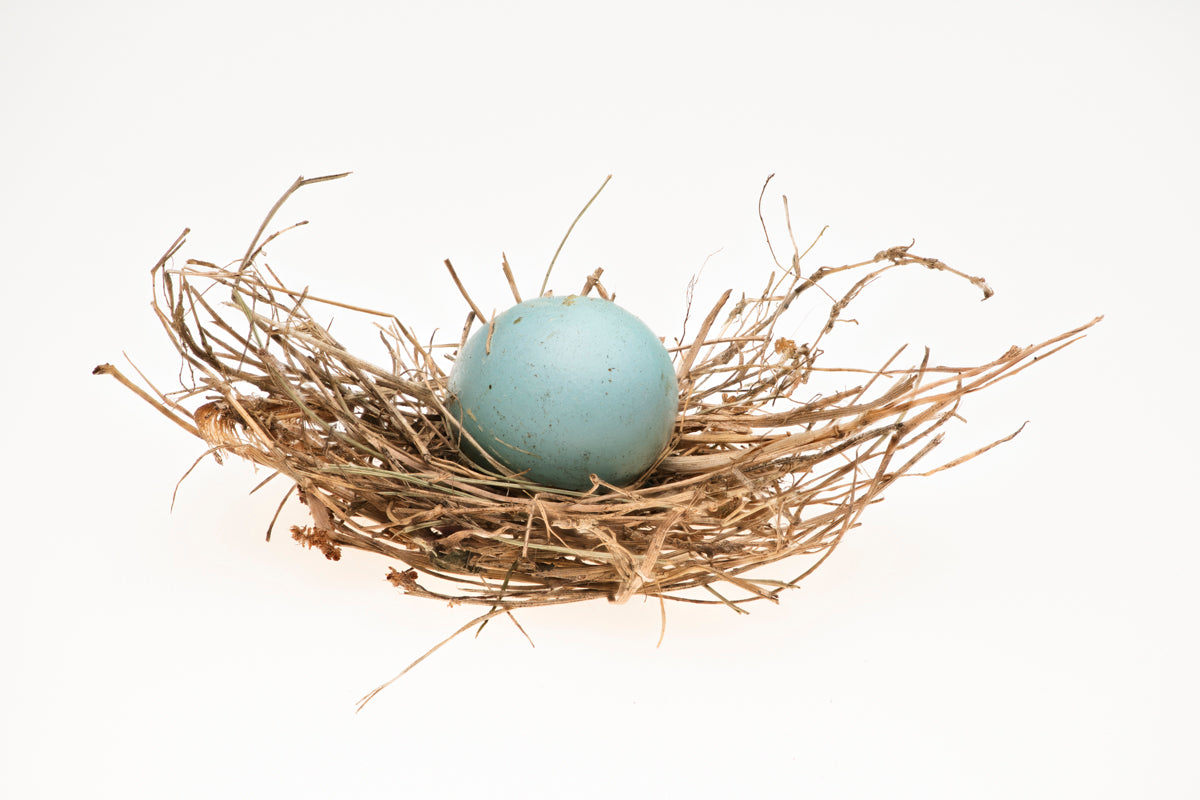 Blue Egg with Nest (Landscape format)